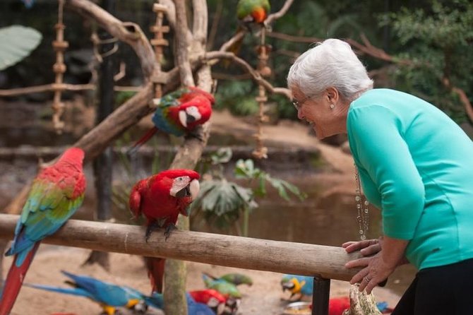 Bird Park & Iguassu Brazilian Side – Private Tour