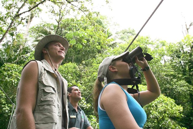 Bird Watching Tour From San José