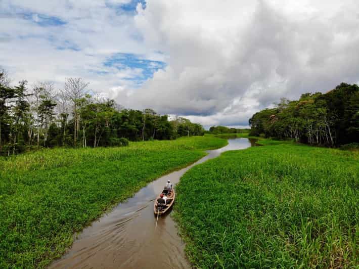 Birding The Amazon