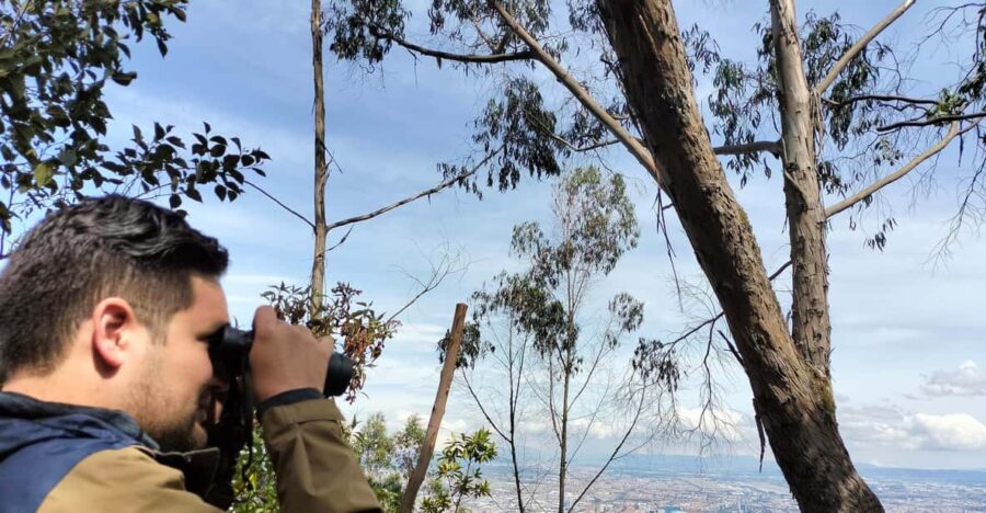 Birdwatching at Monserrate Bogotá
