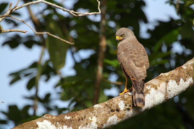 Birdwatching at Mundo Aventura Natural Park