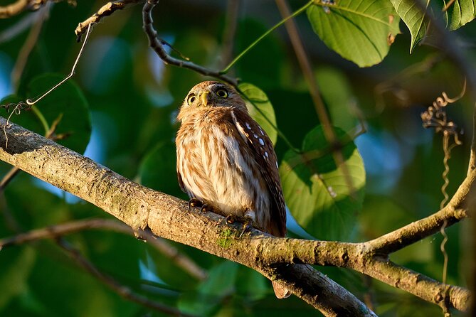 Birdwatching in a Private Nature Reserve