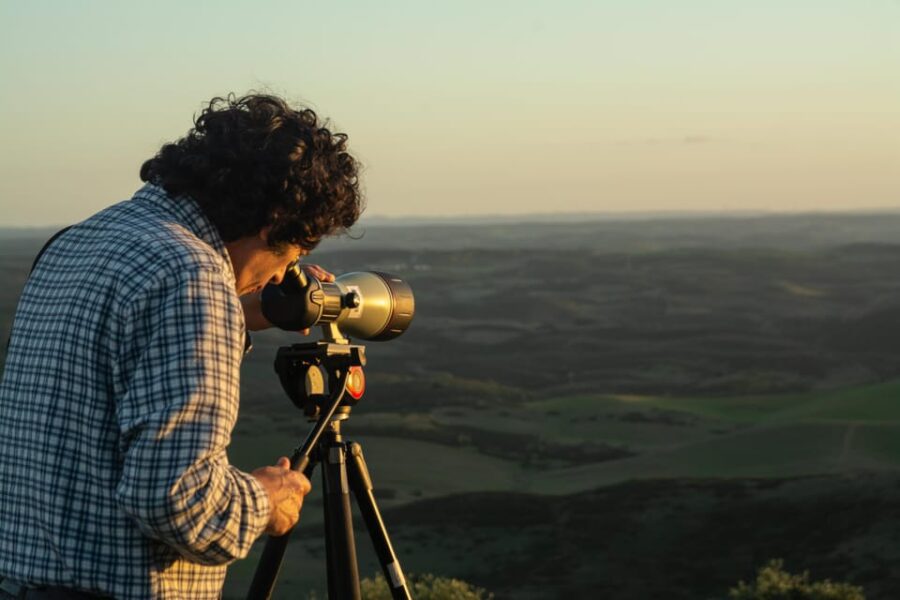 Birdwatching Tour in Mértola and Castro Verde Region