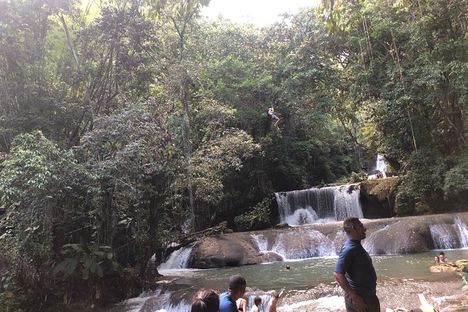 Black River Safari, YS Falls and Appleton Estate - Tour Overview