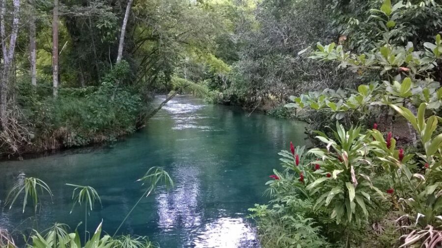 Blue Hole Rainforest Adventure