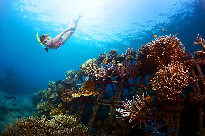 Blue Lagoon Snorkeling and Uluwatu Sunset Tour