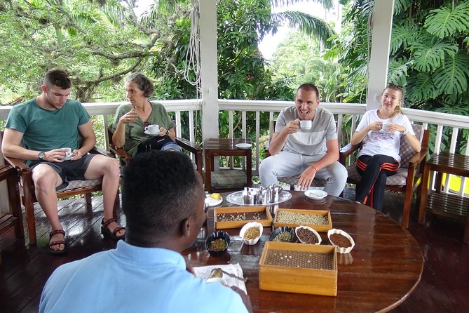 3 Best Coffee Tours And Tastings In Kingston