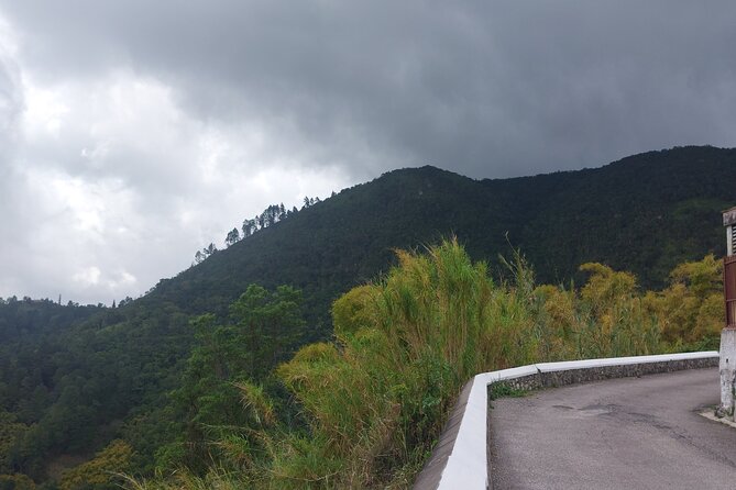 Blue Mountain Sight-Seeing & Nature Trail Hike With Private Guide
