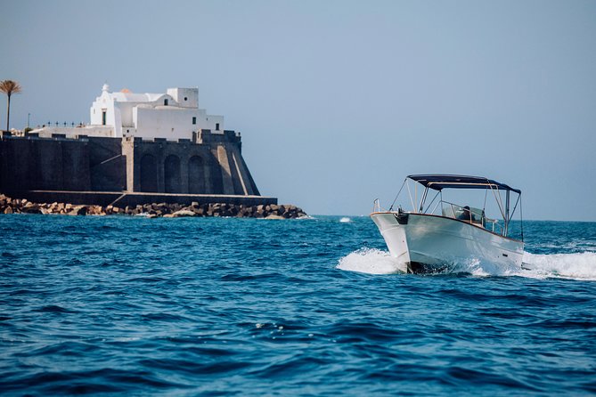 Boat Tour of the Island of Ischia With a Boat Measuring 7.50 Meters