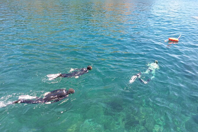 3 Best Snorkeling Experiences In Terceira