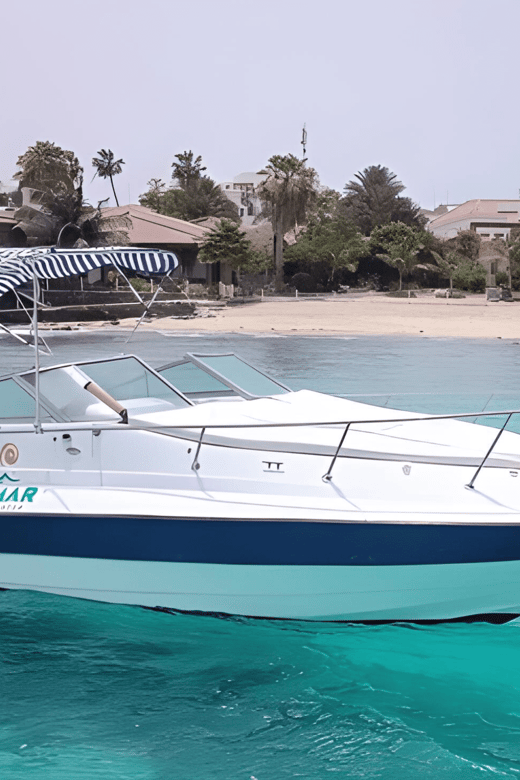 2 Best Cruises And Boat Tours In Santa Maria Cape Verde