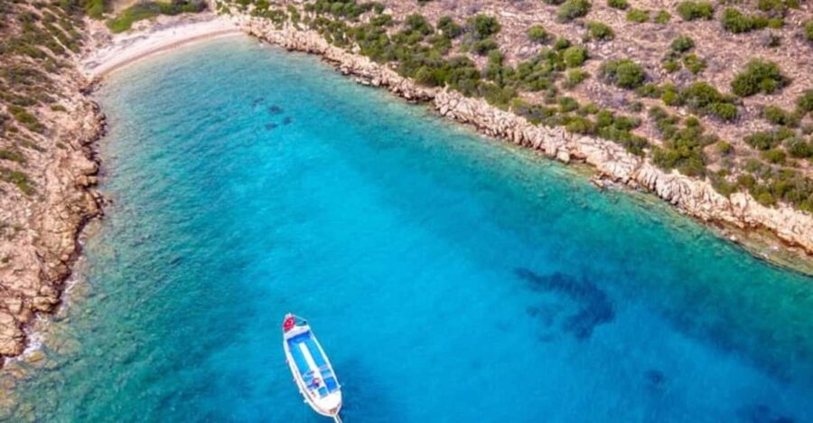 Bodrum Orak Island Boat Cruise With Lunch and Swimming