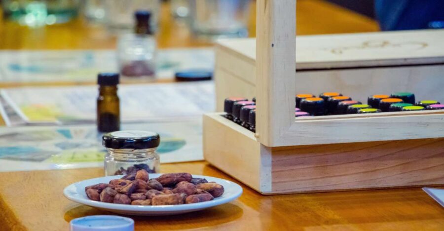 Bogota Chocolate Tasting Tour 3 Hrs - Tour Overview