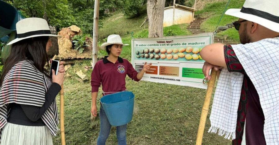 Bogota: Coffee Farmer for a Day With Lunch
