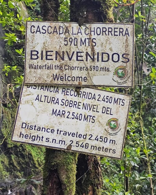 Bogota: Hike to La Chorrera Waterfall, El Chiflón and Guadalupe Hill