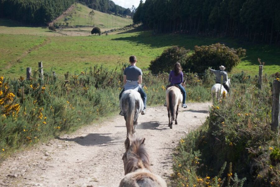 Bogota: Horseback Riding Tour - Tour Overview