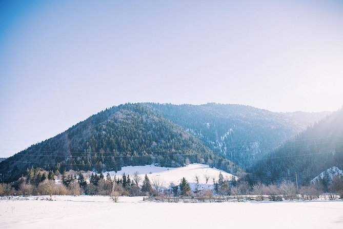Borjomi-Bakuriani-Private Day Trip From Tbilisi