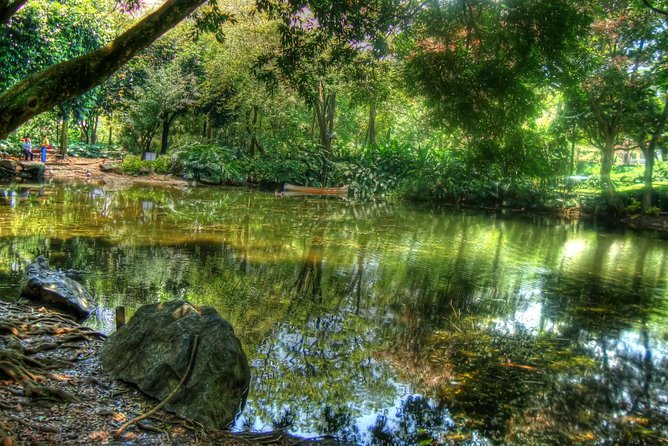 Botanical Gardens and Medellin City Walking Tour