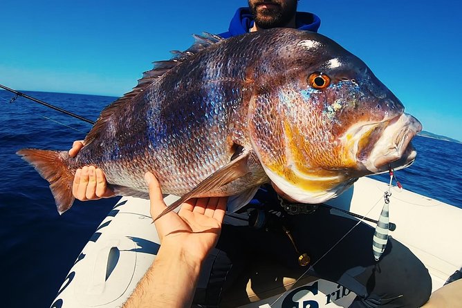 Brac and Solta Island Half Day Fishing Experience - Fishing Spots and Target Species