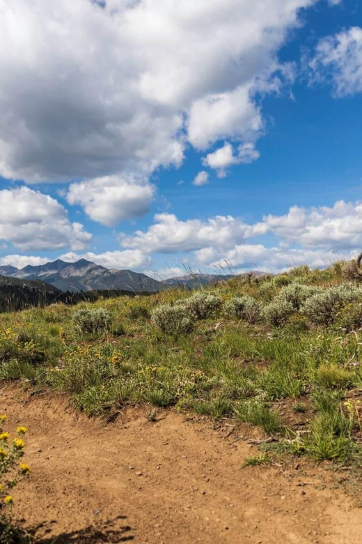 Breckenridge, CO: Shuttled Mountain Bike Ride on Peaks Trail - Overview of the Activity