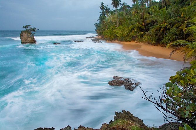 BRIBRI Chocolate Tour & Cahuita National Park From San Jose - Tour Overview