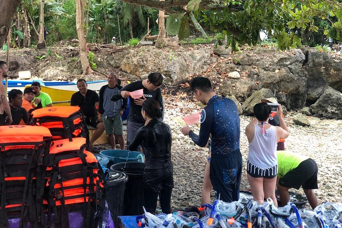Budgeted Bohol Whale Shark