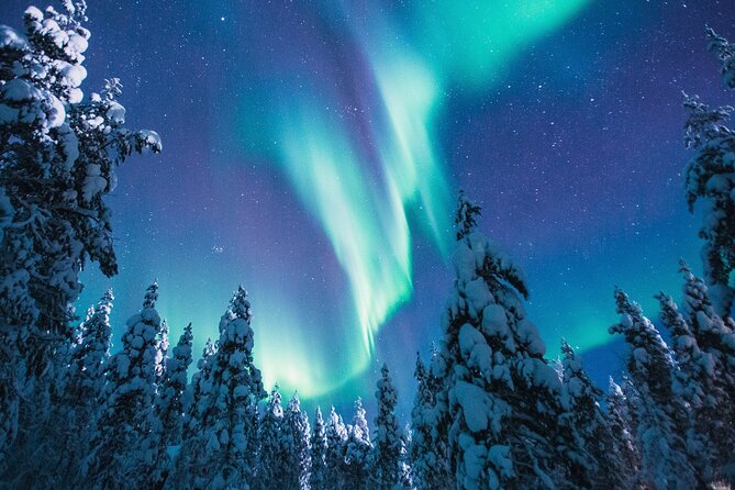 Bus Tour With Hunting Northern Lights