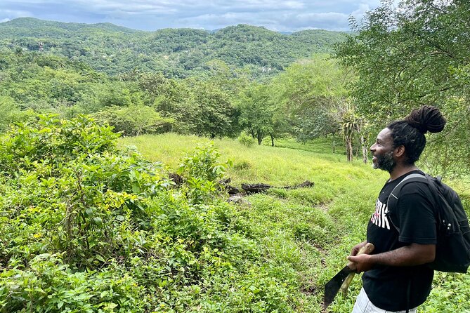Bush Hiking to Explore Wild Plants & Fresh Fruits,Montego Bay - Overview of the Tour