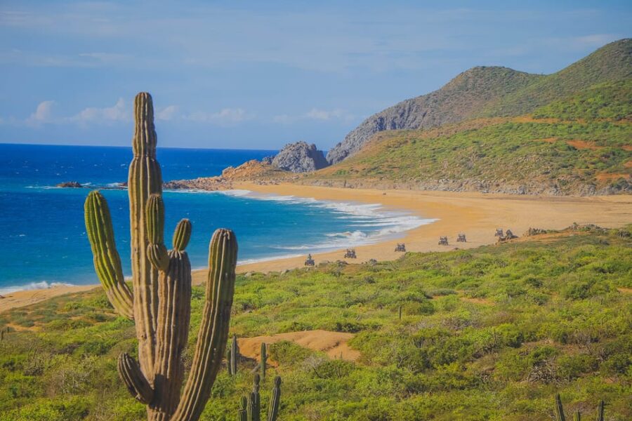 Cabo: Beach & Desert Single ATV Tour With Tequila Tasting