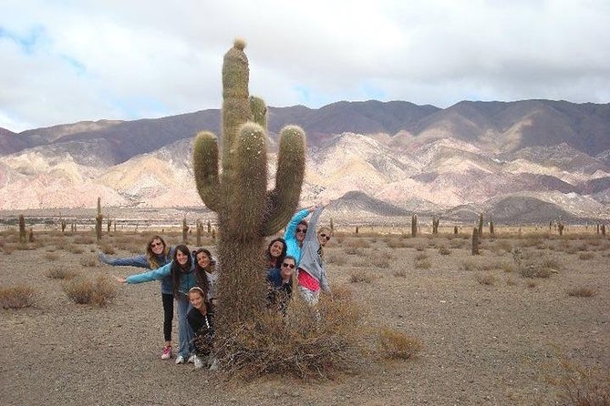 Cachi and Its Spectacular Los Cardones National Park