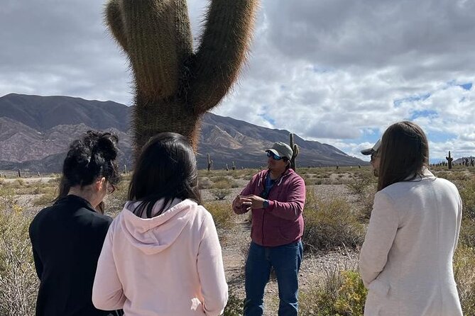 Cachi Full Day Tour From Salta