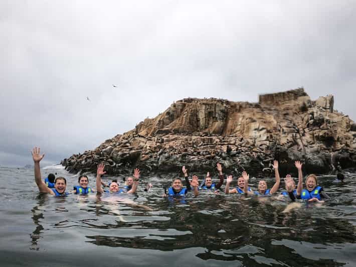 Callao: Swimming With Sea Lions Palomino Islands Boat Tour - Tour Overview and Details