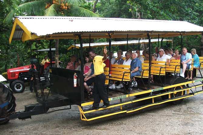 Camel Riding Outback Adventure Tour From Ocho Rios