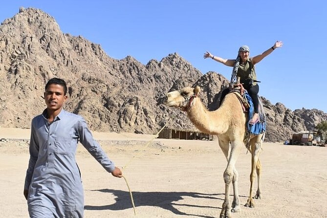 Camel Riding Tour in Sharm El Sheikh Desert