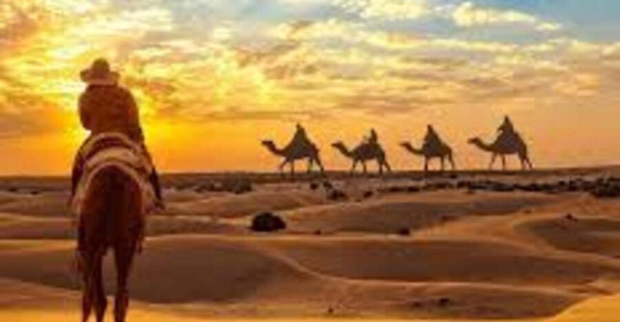 Camel Safari in Osian Desert