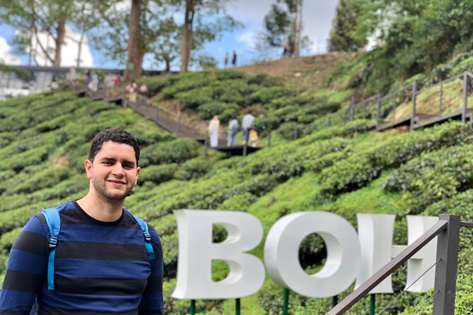 Cameron Highland Day Tour From Kuala Lumpur By Group
