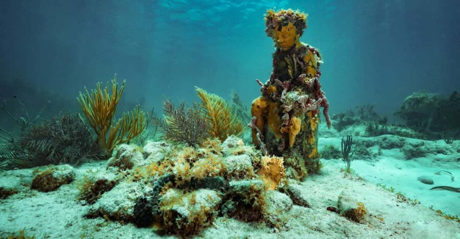 Cancun: Snorkeling Tour at MUSA The Underwater Museum