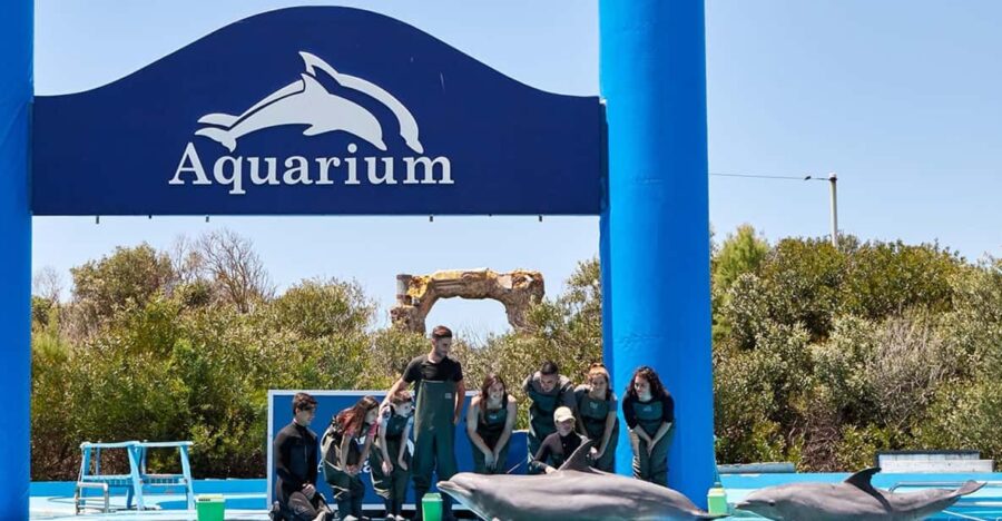 Cancun: Ticket for the Interactive Aquarium - Ticket Details and Policies