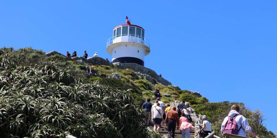 Cape Peninsula & Penguins Beach Half Day Tour From Cape Town