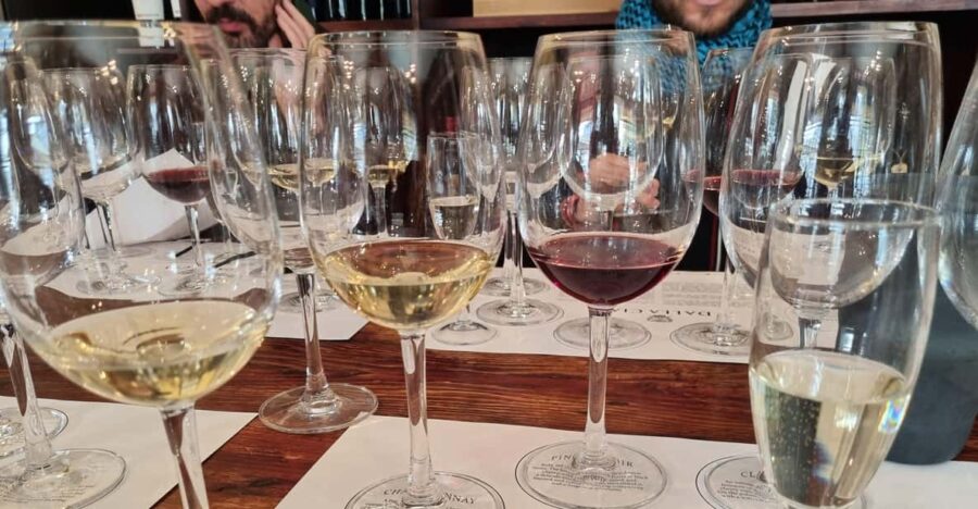 Cape Town: Funday – Taste Divine Wines in Exquisite Settings