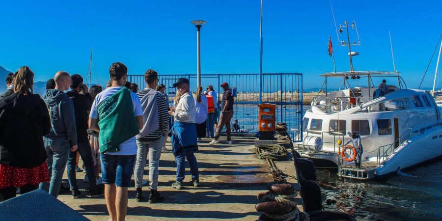 5 Best Tours In Hermanus