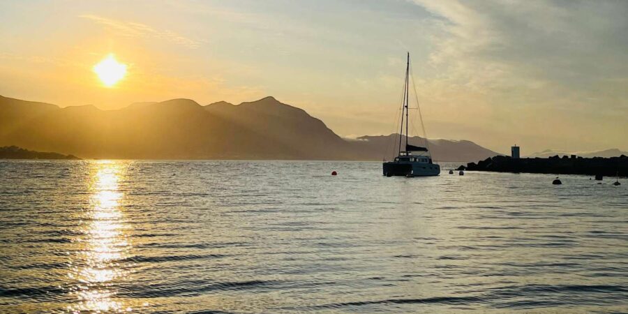 Cape Town: Hermanus Whale Watching and Wine Tasting Tour
