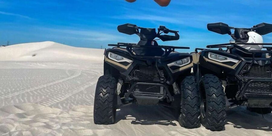 Cape Town: Luxury City Tour With Atlantis Dunes Adventure