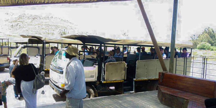 Cape Town: Private Aquila Reserve Safari With Winery Lunch