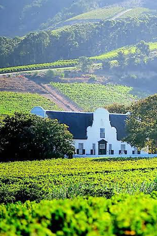 Cape Town: Private Stellenbosch and Franschhoek Wine Tour
