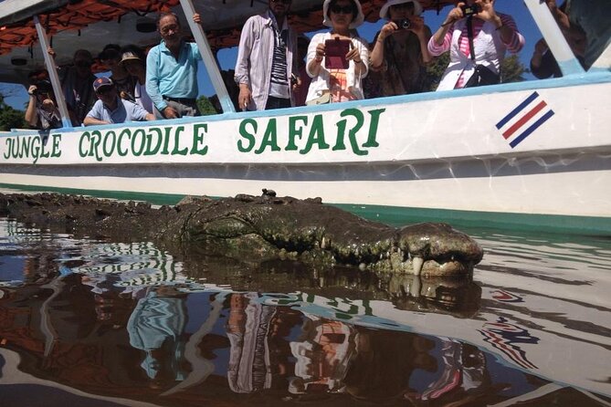 Carara National Park and Crocodile River Cruise