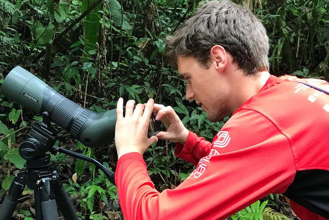 Carara National Park Birdwatching Private Guided Tour Experience. - Tour Overview and Highlights