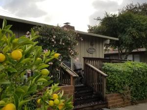 Carmel Valley Lodge - Location and Highlights