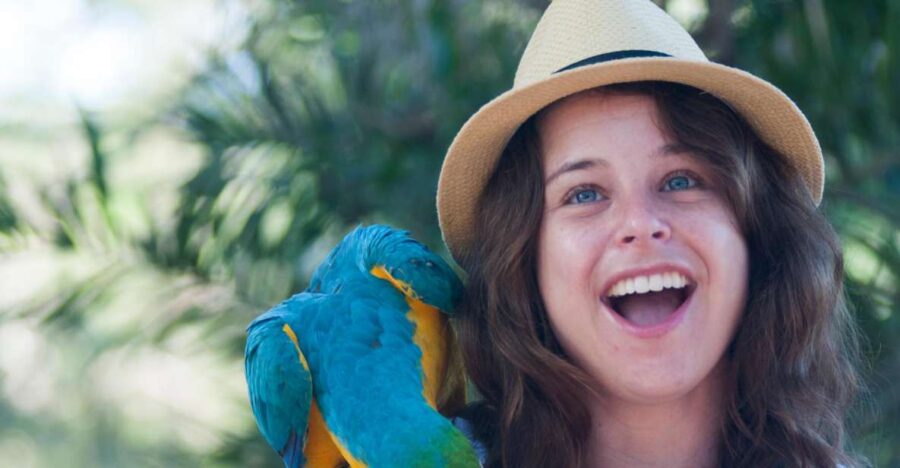 Cartagena: National Aviary of Colombia Entrance Tickets - Ticket Information and Pricing