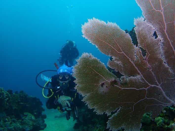 2 Best Scuba Diving Experiences In Baru